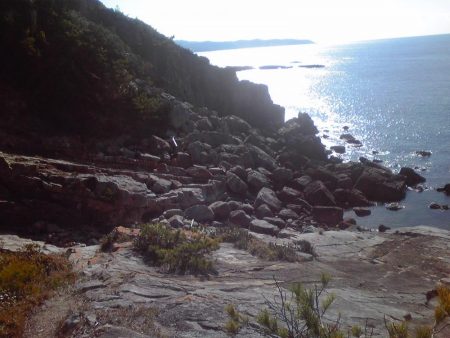 イシガキダイとサンノジハゲ